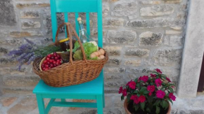 Authentic Istria&pet friendly apartment Banko near Rovinj